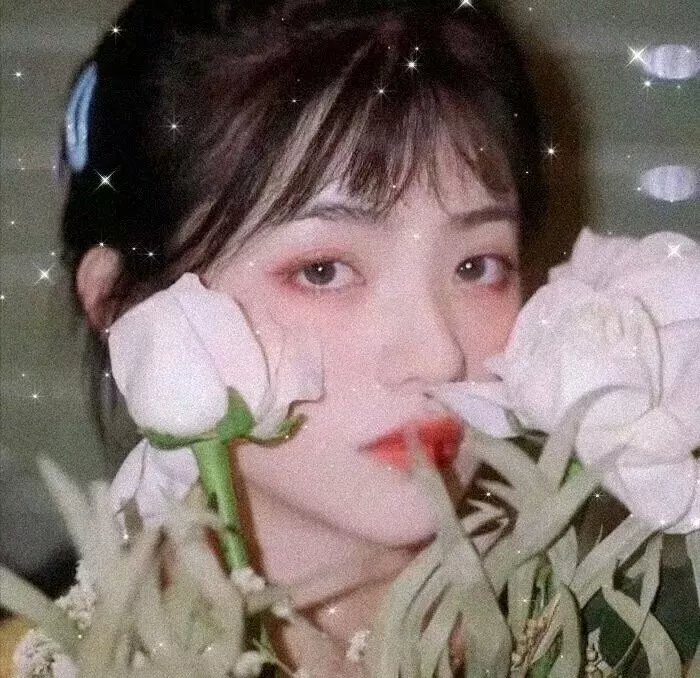 相敬如宾 海报