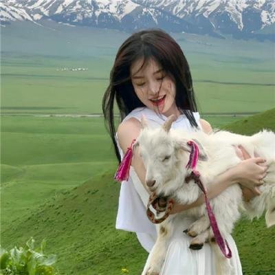 娱乐体验 海报